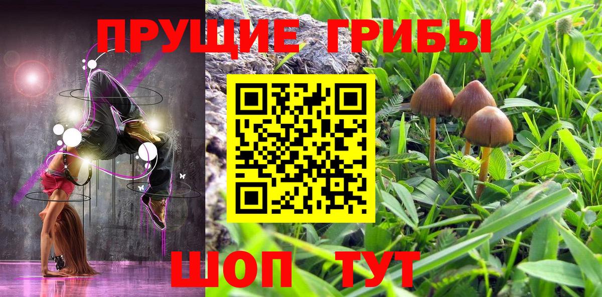 Псилоцибиновые грибы Magic Shrooms  Вход с VPN  Знаменск 
