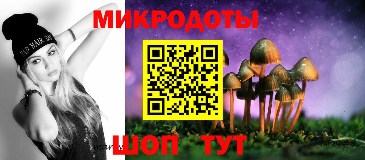 Галлюциногенные грибы Psilocybe Знаменск